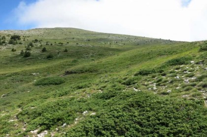 Albania Kukes Gjallica high plain