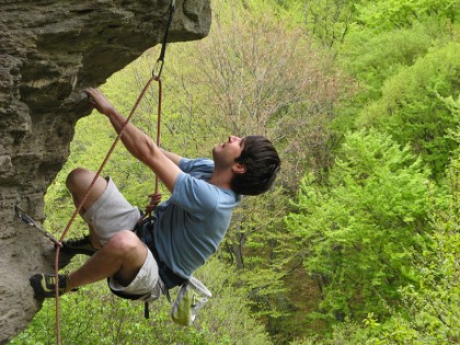 Climber with forest background