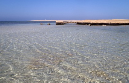 Shark bay Sharm Egypt