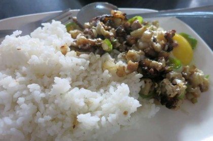 Philippines food rice