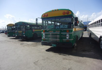 Chicken buses Belize