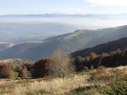 Mount vitosha