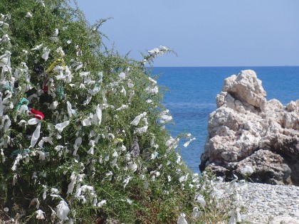 Plastic ribbons on a bush near Aphrodite's rock
